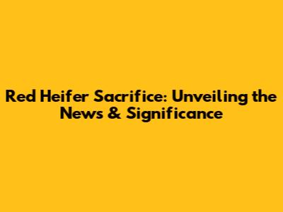 Red Heifer Sacrifice: Unveiling the News & Significance