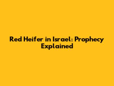 Red Heifer in Israel: Prophecy Explained