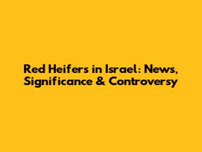 Red Heifers in Israel: News, Significance & Controversy