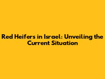Red Heifers in Israel: Unveiling the Current Situation