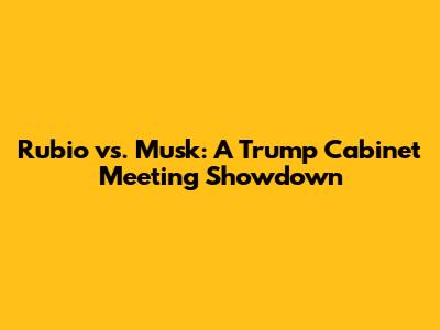 Rubio vs. Musk: A Trump Cabinet Meeting Showdown