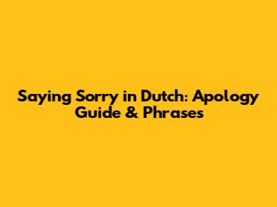 Saying Sorry in Dutch: Apology Guide & Phrases
