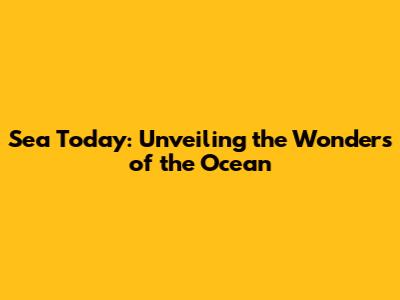 Sea Today: Unveiling the Wonders of the Ocean
