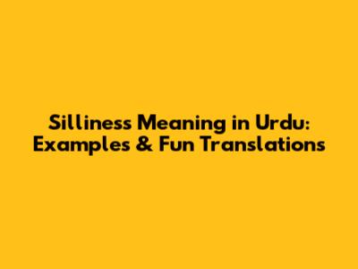 Silliness Meaning in Urdu: Examples & Fun Translations
