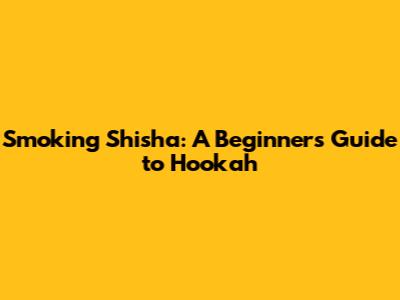Smoking Shisha: A Beginner's Guide to Hookah
