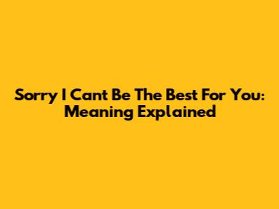 Sorry I Can't Be The Best For You: Meaning Explained