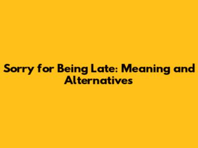 Sorry for Being Late: Meaning and Alternatives