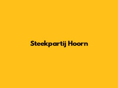 Steekpartij Hoorn