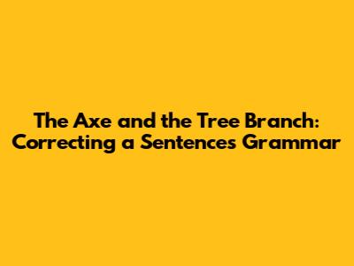 The Axe and the Tree Branch: Correcting a Sentence's Grammar