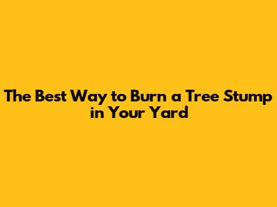 The Best Way to Burn a Tree Stump in Your Yard