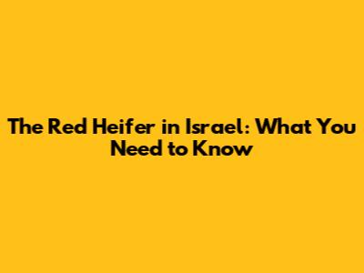 The Red Heifer in Israel: What You Need to Know