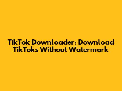 TikTok Downloader: Download TikToks Without Watermark