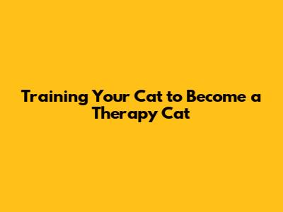 Training Your Cat to Become a Therapy Cat