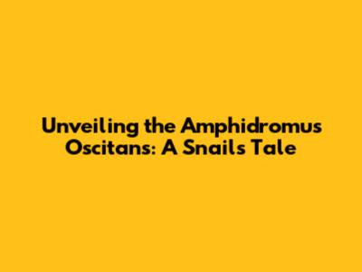 Unveiling the Amphidromus Oscitans: A Snail's Tale