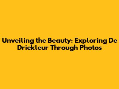 Unveiling the Beauty: Exploring De Driekleur Through Photos