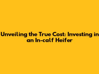 Unveiling the True Cost: Investing in an In-calf Heifer