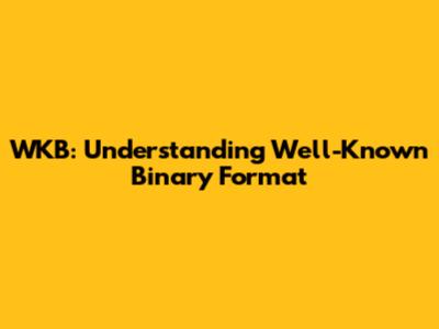 WKB: Understanding Well-Known Binary Format