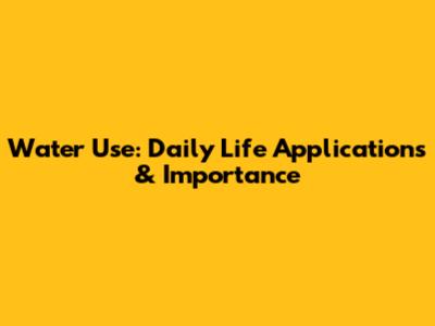 Water Use: Daily Life Applications & Importance