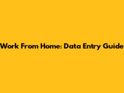 Work From Home: Data Entry Guide