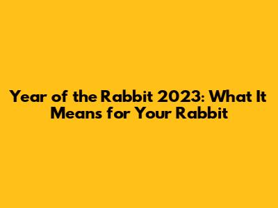 Year of the Rabbit 2023: What It Means for Your Rabbit